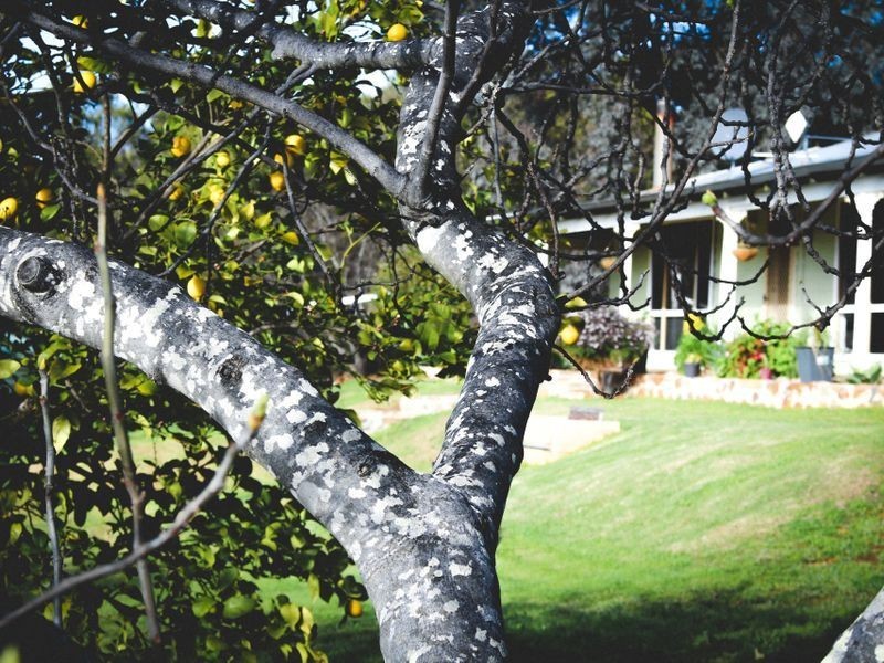 117 Railway Road, Clackline WA 6564