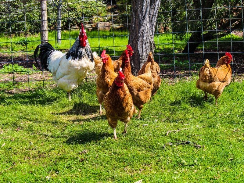 117 Railway Road, Clackline WA 6564