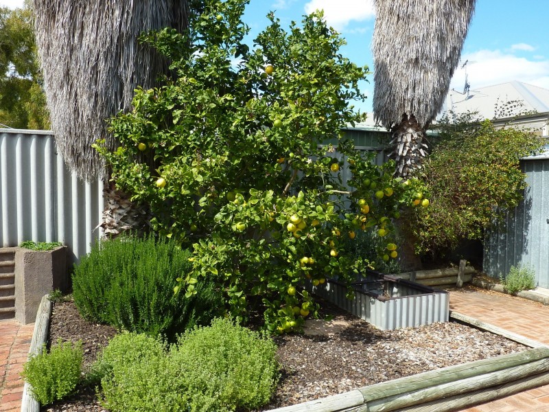 2 Windsor Place, Kallaroo WA 6025