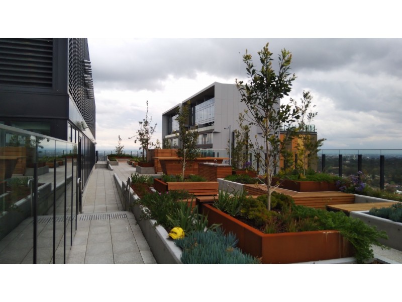 1 Network Place, North Ryde NSW 2113