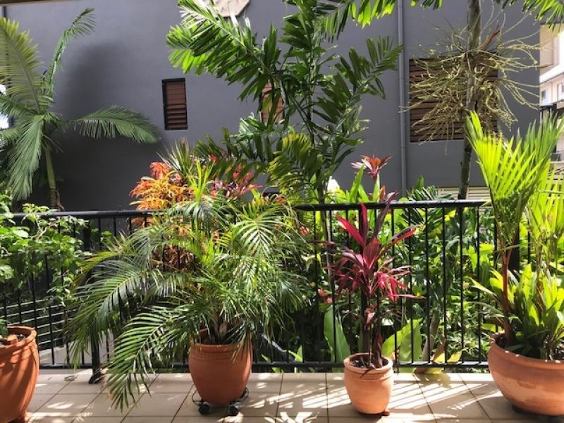 304/55 Clifton Road, Clifton Beach QLD 4879