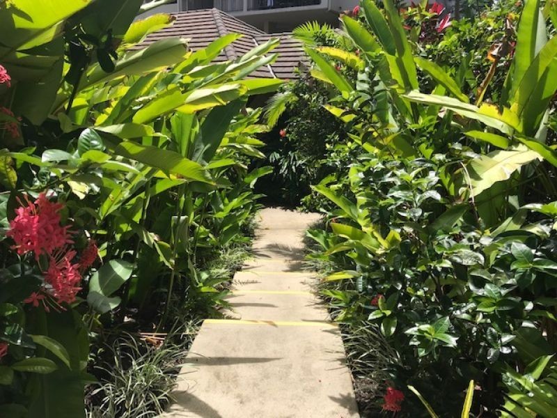 304/55 Clifton Road, Clifton Beach QLD 4879