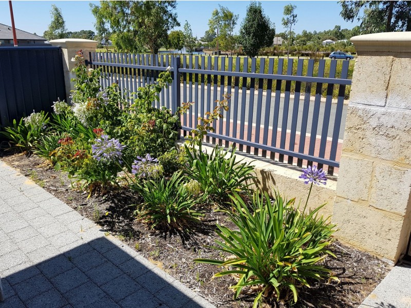 6 Altham Grove, Baldivis WA 6171