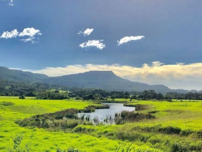 Lot 19 Thornbill Street, Wongawilli NSW 2530