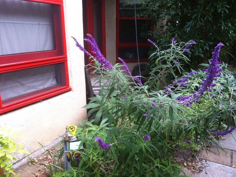 103 Sturt Street, Adelaide SA 5000