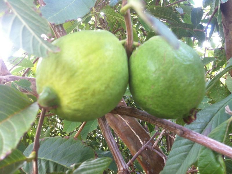 103 Sturt Street, Adelaide SA 5000