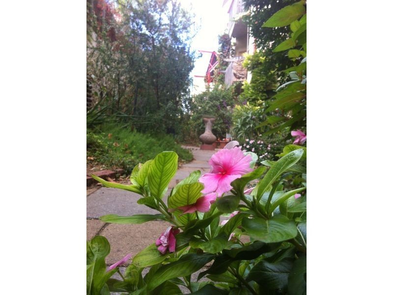 103 Sturt Street, Adelaide SA 5000