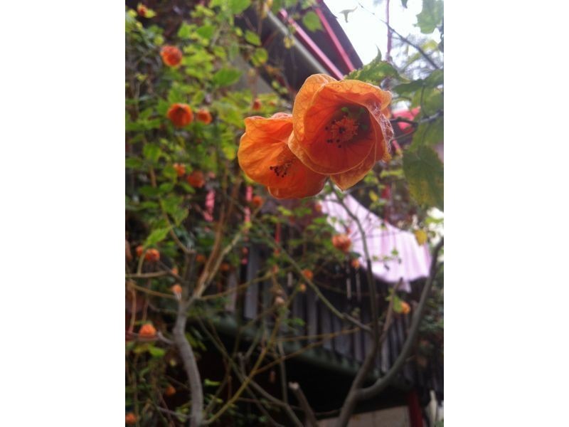 103 Sturt Street, Adelaide SA 5000