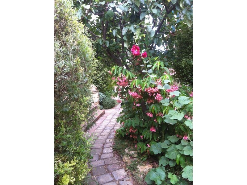 103 Sturt Street, Adelaide SA 5000