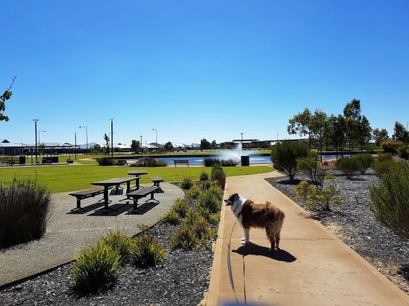 6 Altham Grove, Baldivis WA 6171