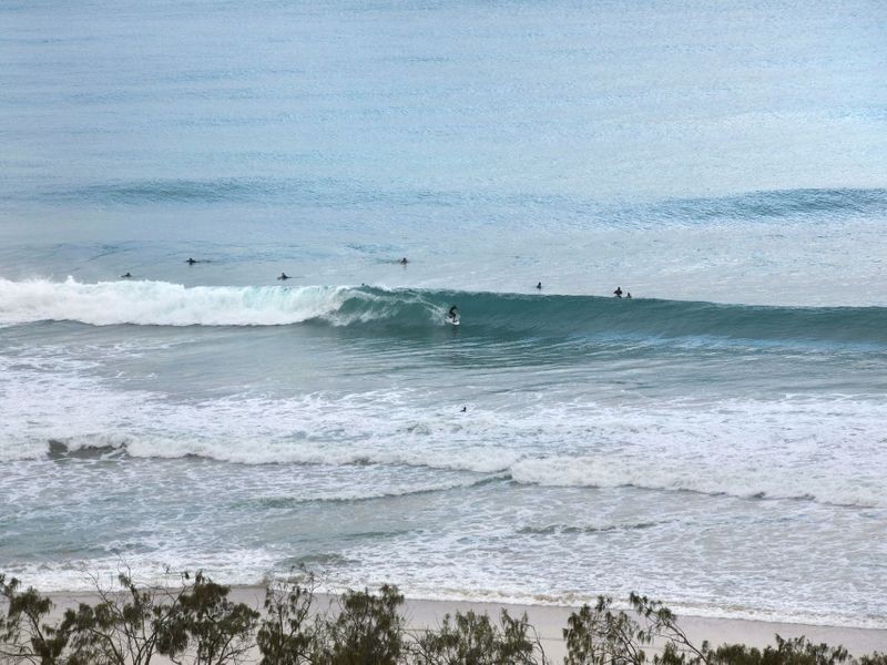 Unit 1404/’The Sebel Aerodrome Road, Maroochydore QLD 4558