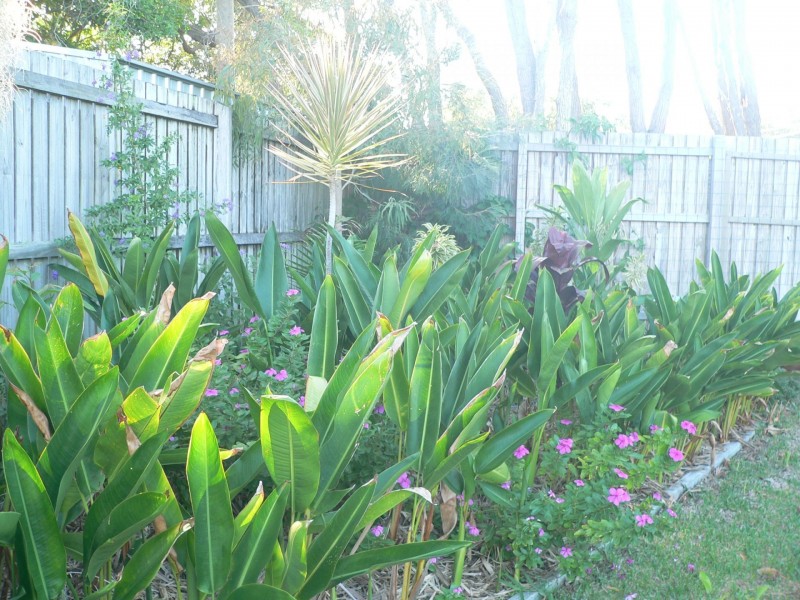 10 San Marco Court, Urangan QLD 4655