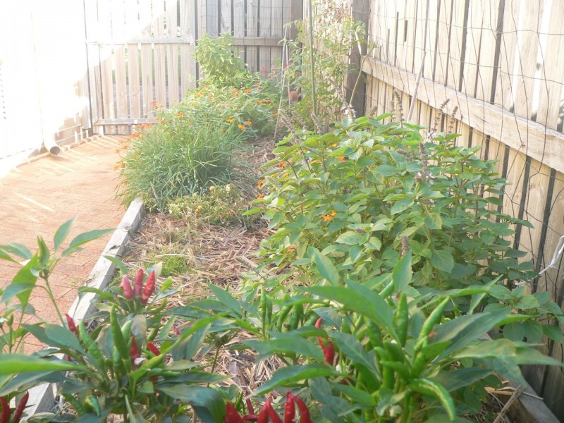 10 San Marco Court, Urangan QLD 4655