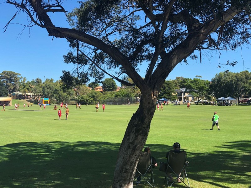 1B Battrass Place, Innaloo WA 6018