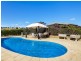 1659 Mutton Falls Rd, O’connell NSW 2795