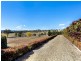 1659 Mutton Falls Rd, O’connell NSW 2795