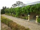 1659 Mutton Falls Rd, O’connell NSW 2795