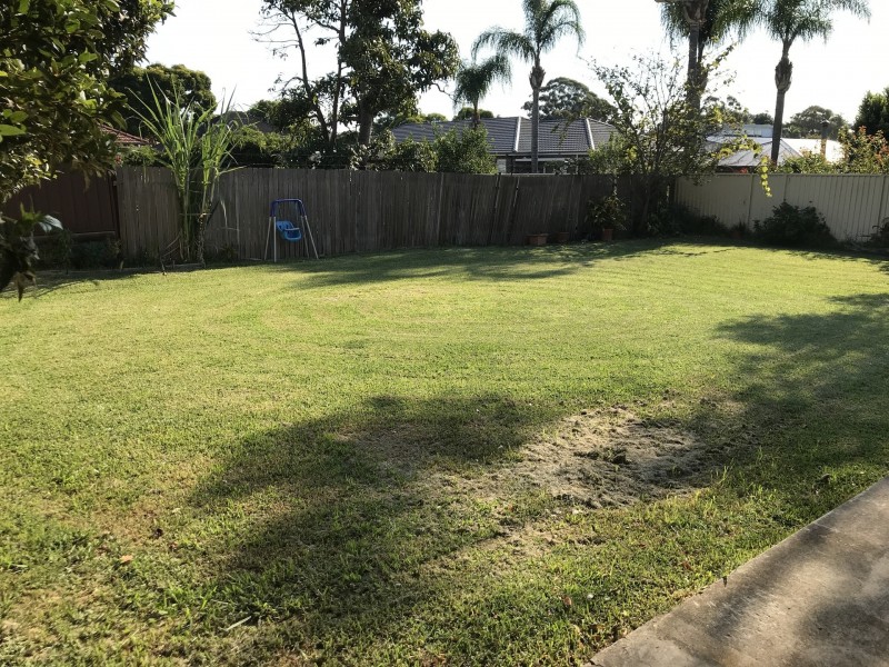 3/61 Robinson St North, Wiley Park NSW 2195