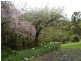 2 [Lot 8 and Lot A] Carolyn Court, Traralgon South VIC 3844