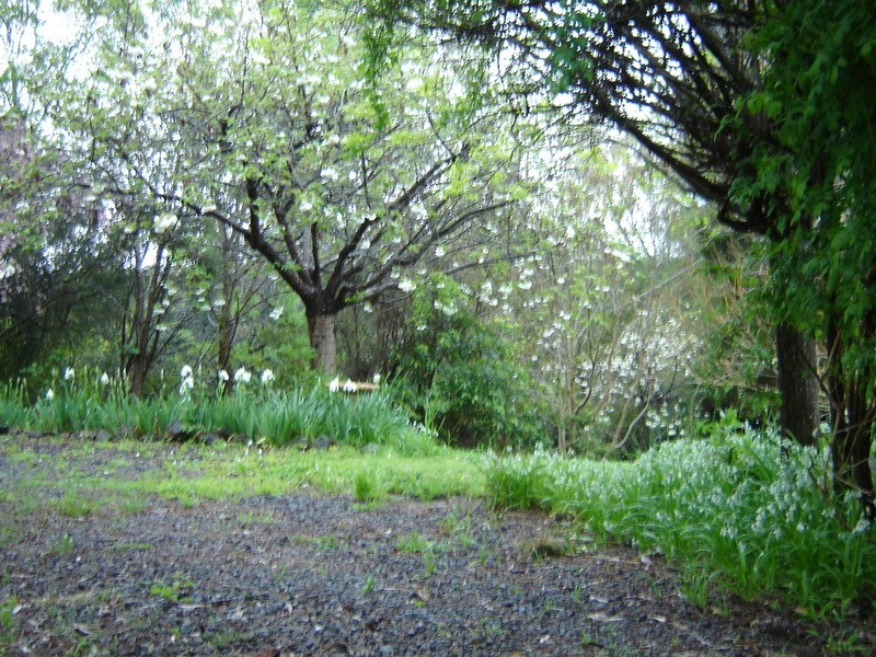 2 [Lot 8 and Lot A] Carolyn Court, Traralgon South VIC 3844
