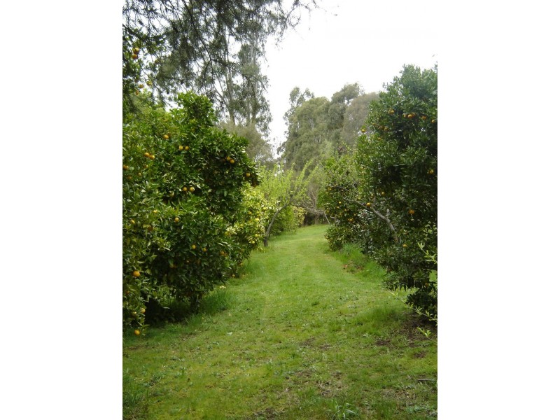 2 [Lot 8 and Lot A] Carolyn Court, Traralgon South VIC 3844