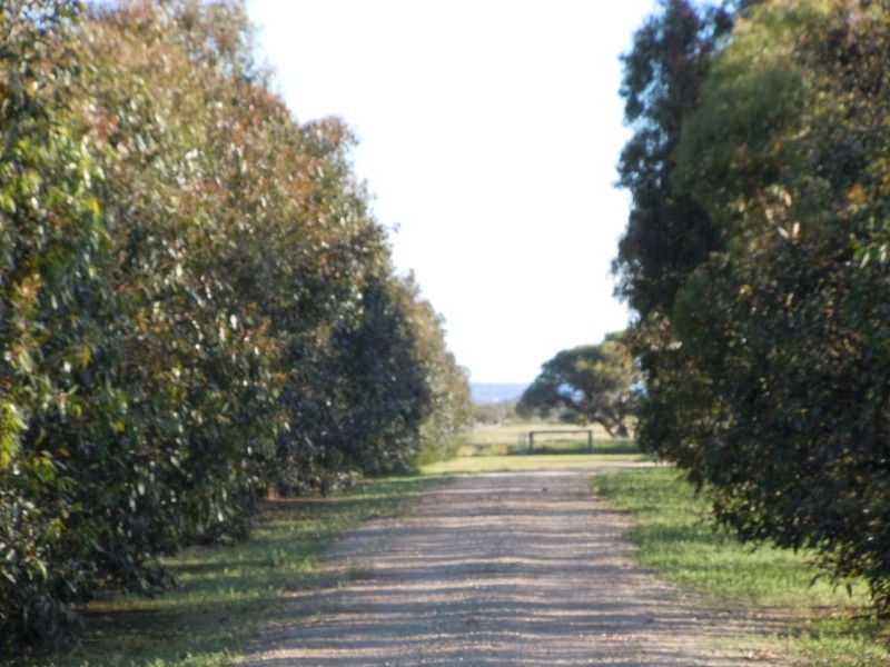 203 Mitchell Road, Benger WA 6223