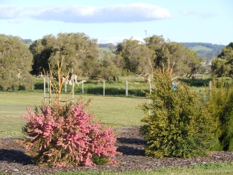 203 Mitchell Road, Benger WA 6223