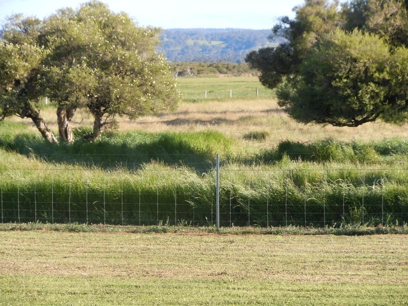 203 Mitchell Road, Benger WA 6223