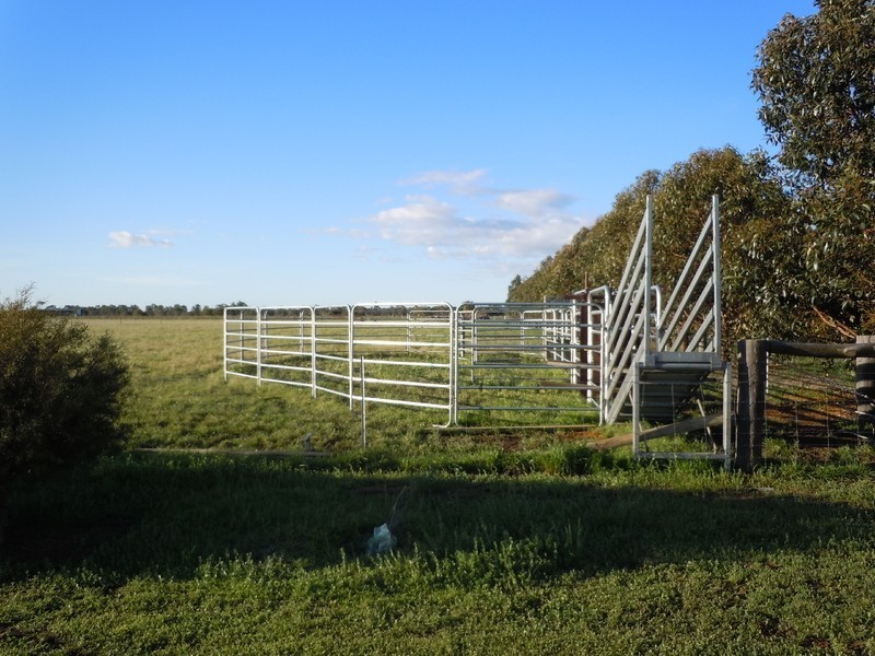 203 Mitchell Road, Benger WA 6223