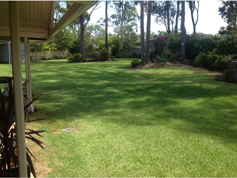 Medowie NSW 2318
