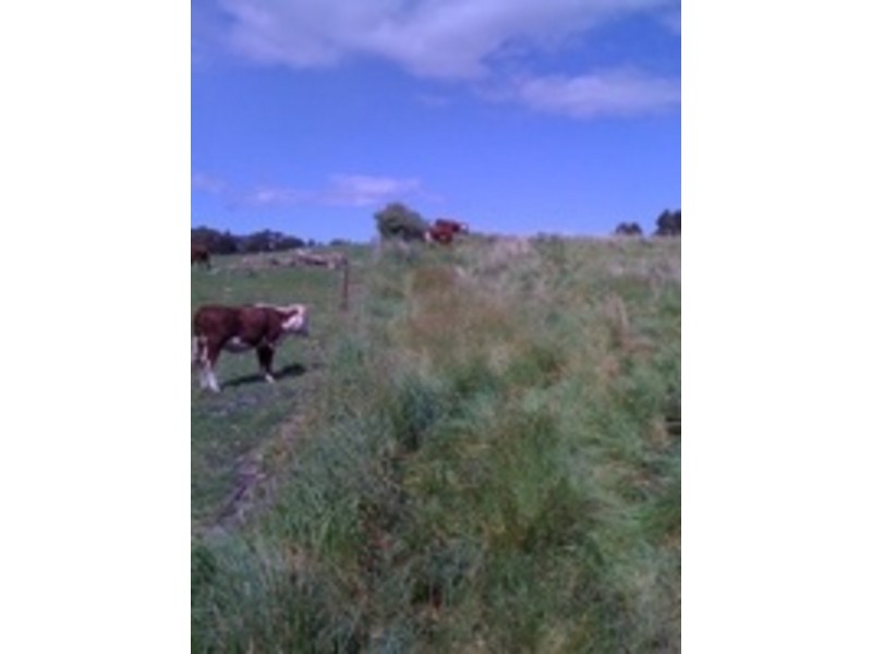 Lot 2 Mundays Road, Southport TAS 7109