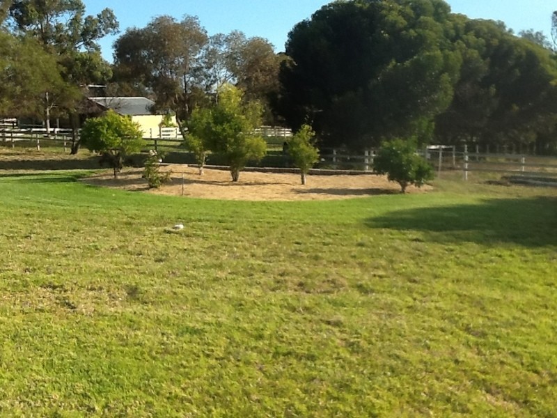 148 Bluegum Crescent, Gabbadah WA 6041