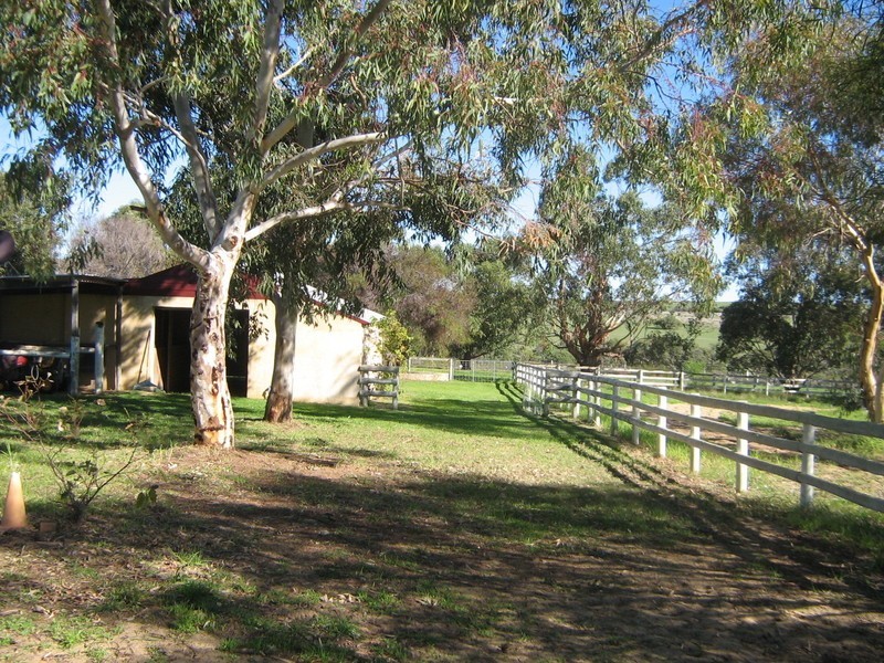 148 Bluegum Crescent, Gabbadah WA 6041