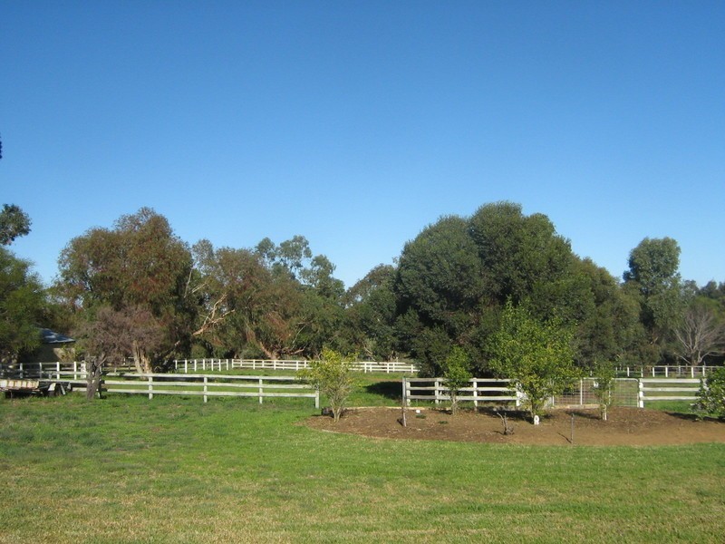 148 Bluegum Crescent, Gabbadah WA 6041