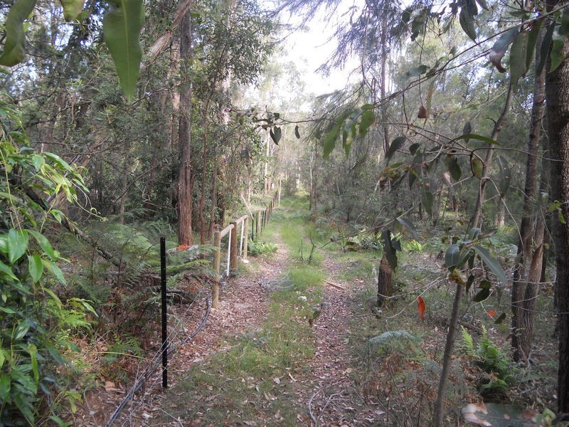 65 Bodalla Park Drive, Bodalla NSW 2545