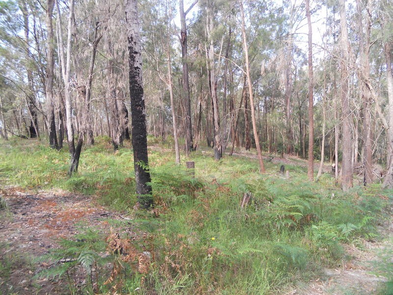 65 Bodalla Park Drive, Bodalla NSW 2545