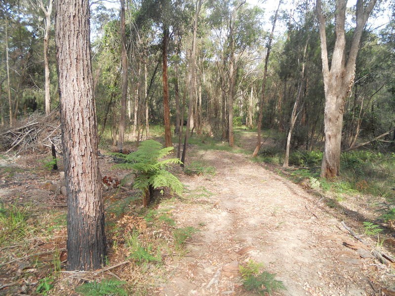 65 Bodalla Park Drive, Bodalla NSW 2545