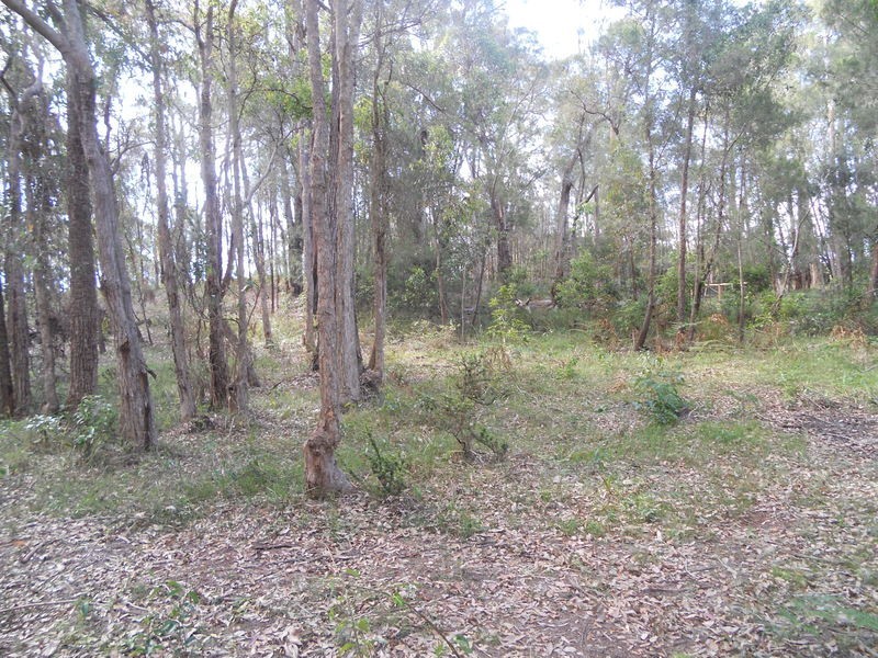 65 Bodalla Park Drive, Bodalla NSW 2545