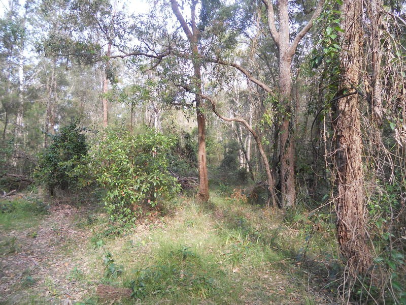65 Bodalla Park Drive, Bodalla NSW 2545