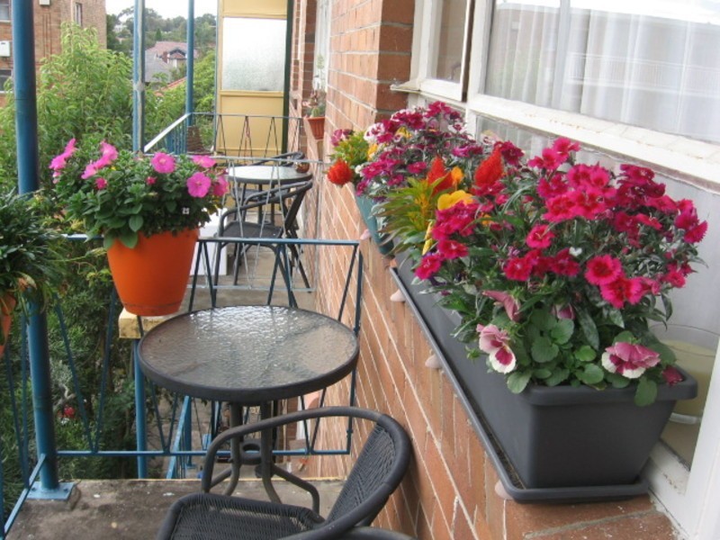 22/18a Ewart Street, Marrickville NSW 2204