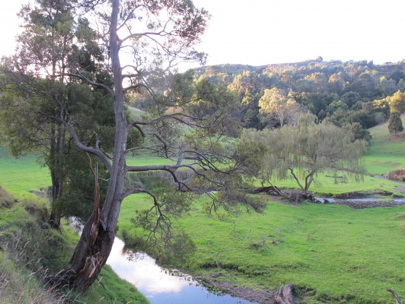Rosella Cottage 95 Wild Dog Road, Apollo Bay VIC 3233