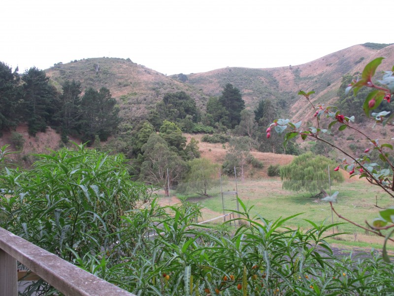 Rosella Cottage 95 Wild Dog Road, Apollo Bay VIC 3233