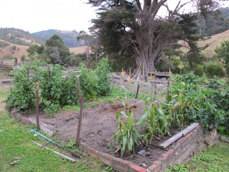 Rosella Cottage 95 Wild Dog Road, Apollo Bay VIC 3233