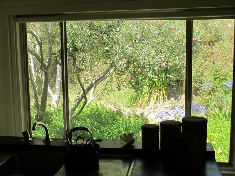 Rosella Cottage 95 Wild Dog Road, Apollo Bay VIC 3233