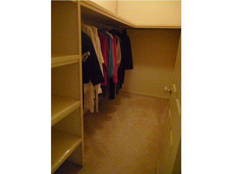 41 Ferndale Street, Annerley QLD 4103