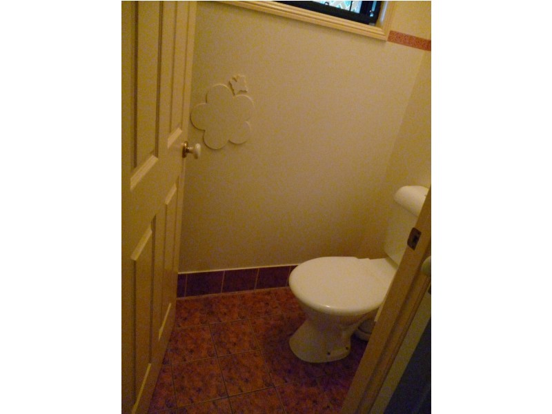 41 Ferndale Street, Annerley QLD 4103