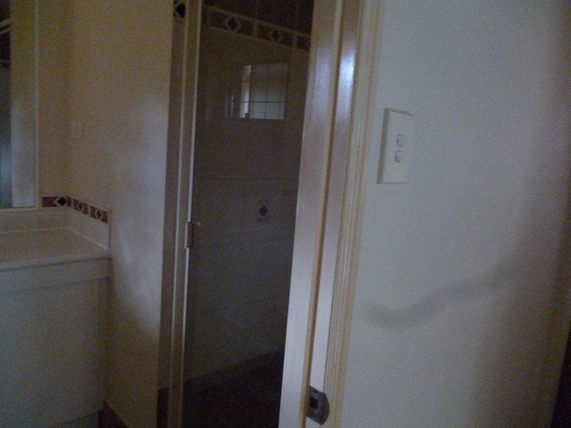 41 Ferndale Street, Annerley QLD 4103