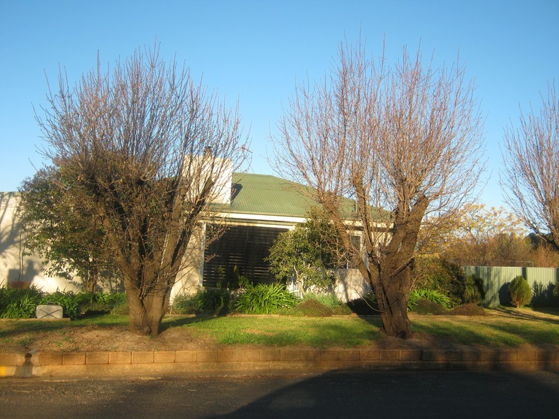 Temora NSW 2666