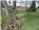48 Warren Street, Seaham NSW 2324
