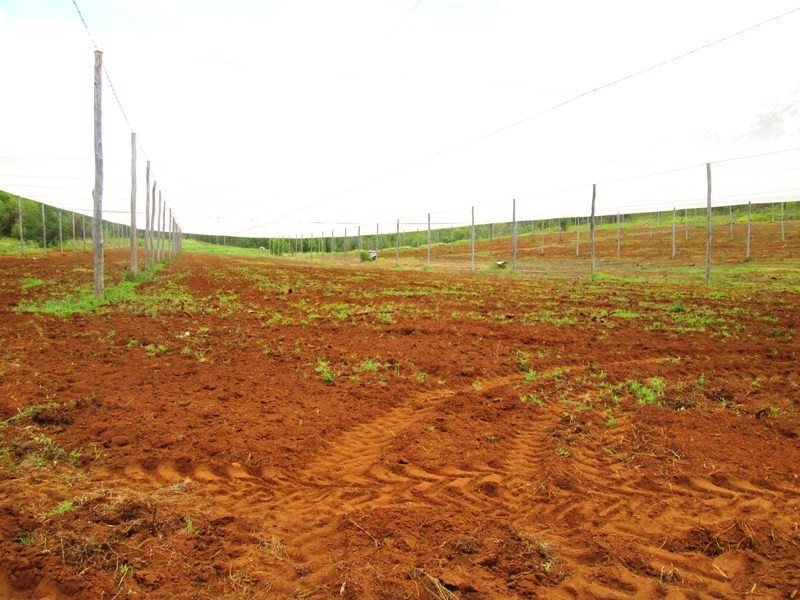 Mount Hallen QLD 4312